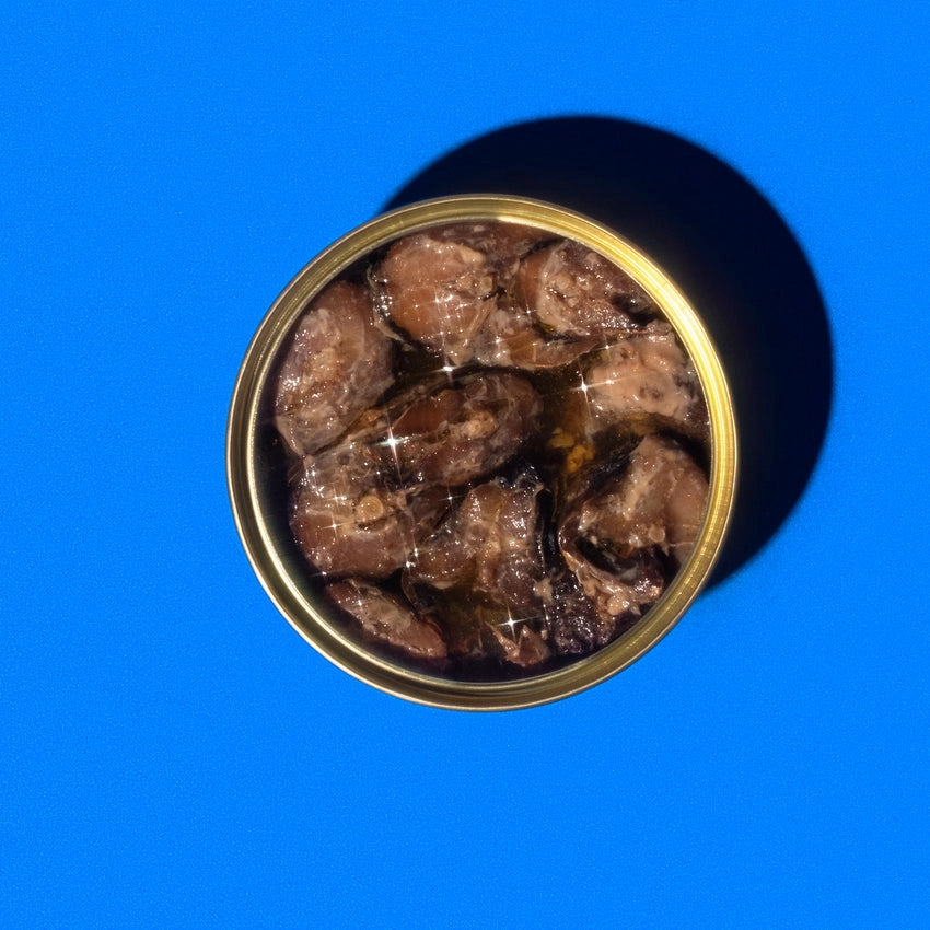 Wildfish Cannery Smoked Herring on a blue background