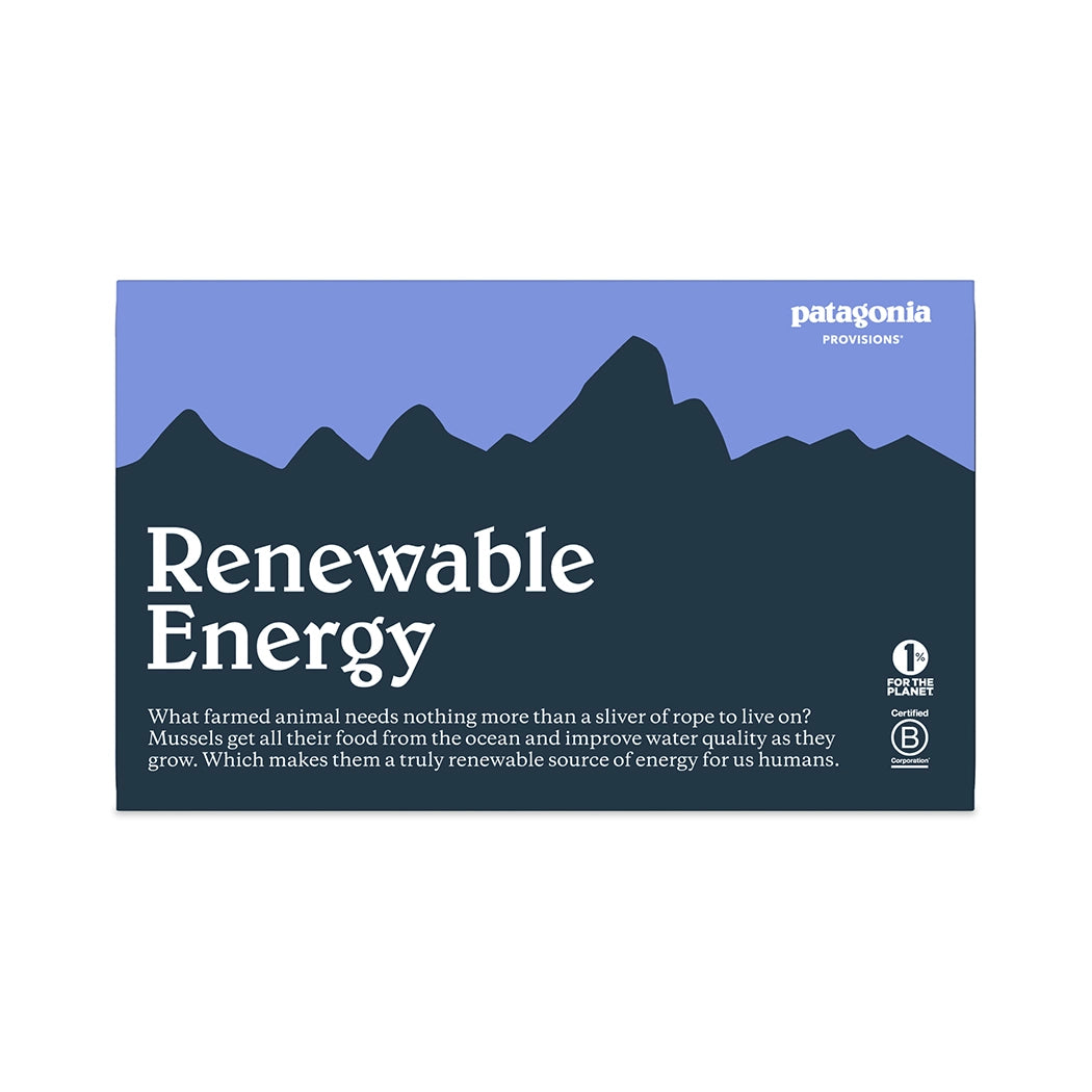 Patagonia advertisement with mountain graphic and 'Renewable Energy' text on a blue background