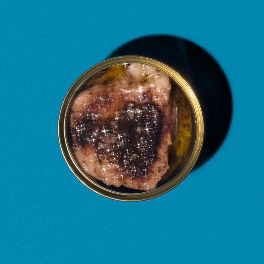 Top-down view of Wildfish Cannery Rockfish with Garlic and Sumac on a blue background