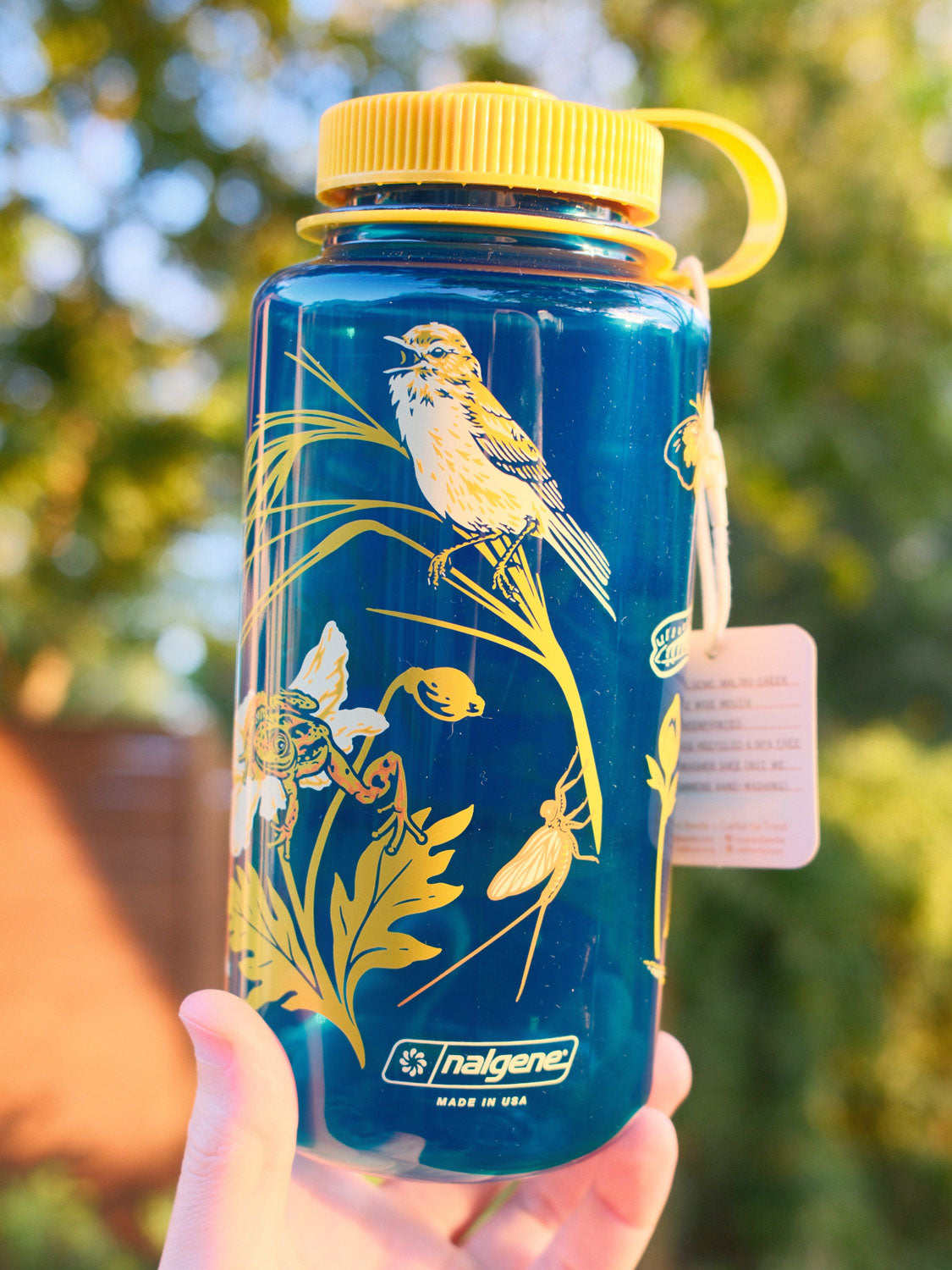 Malibu Creek for CalTrout blue Nalgene water bottle with yellow lid and nature-themed design held in front of a blurred natural background