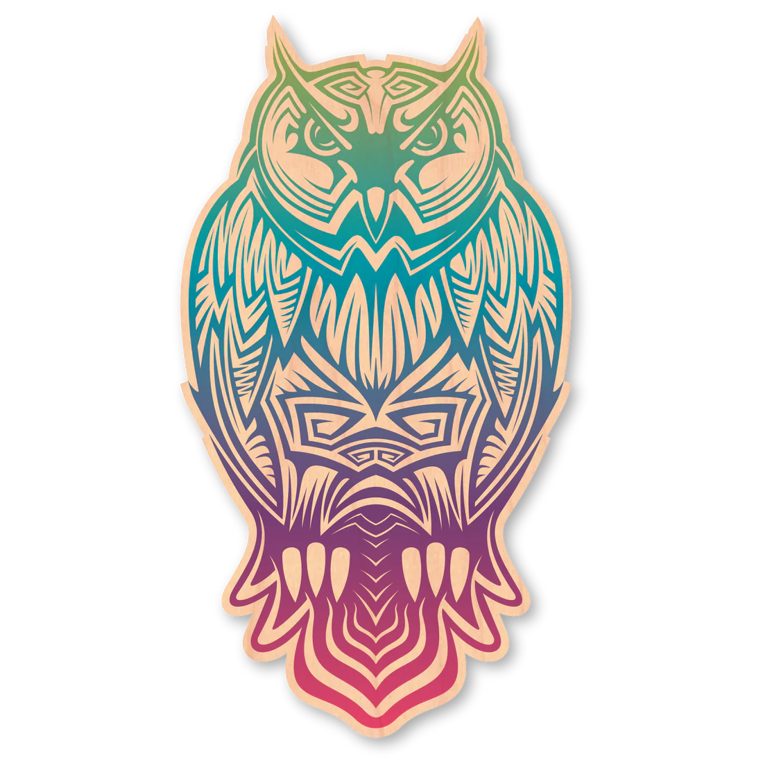 Color Rainbow Owl