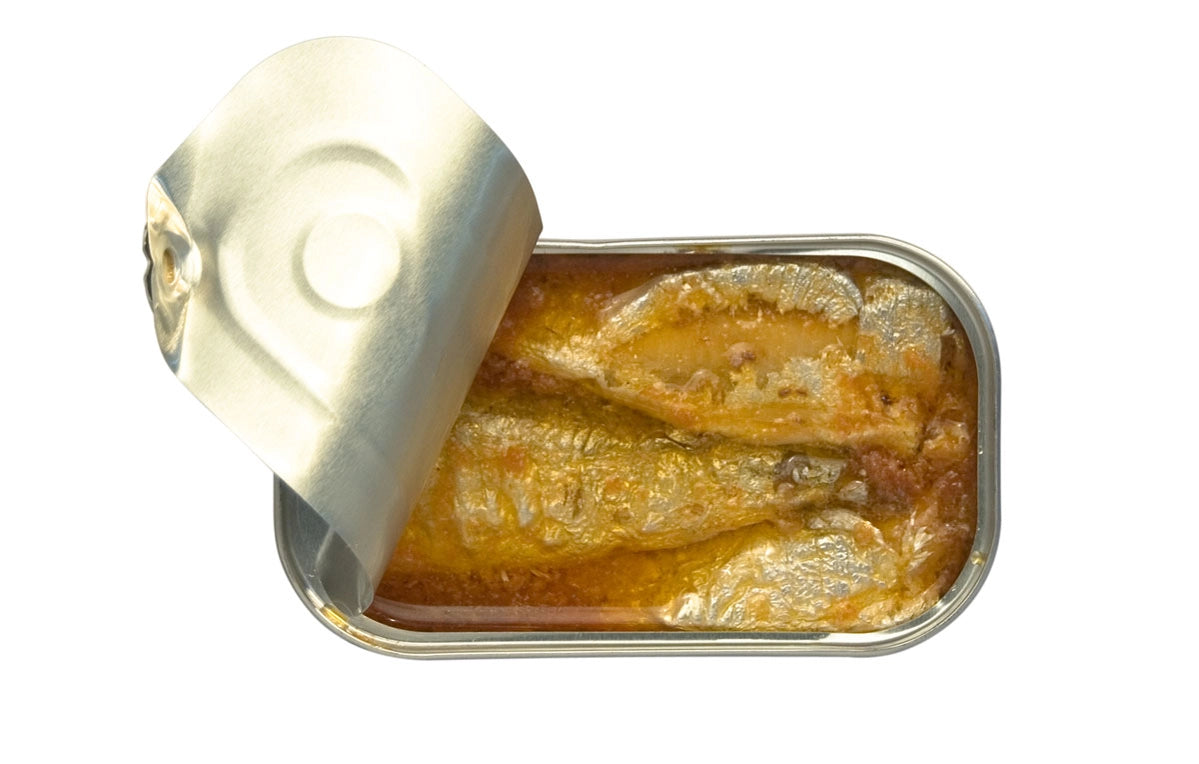 Open can of José Gourmet Sardines in Tomato Sauce on a white background