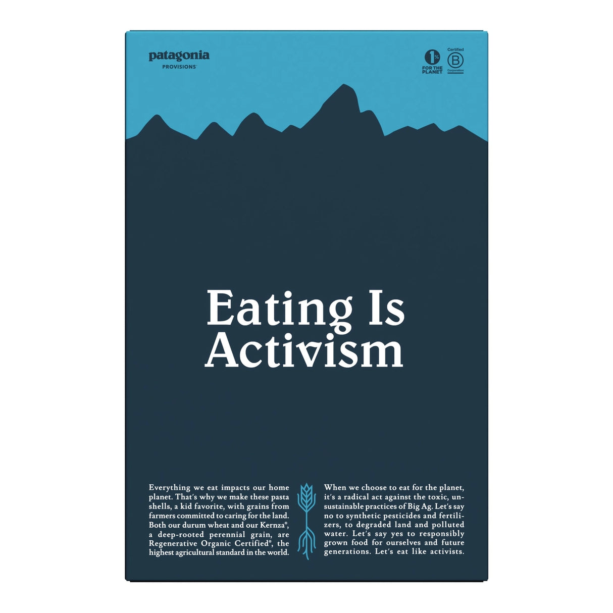 Patagonia Provisions Organic Pasta Shells 12oz Box packaging on a neutral background.