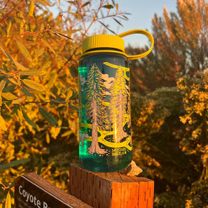 Mustard Beetle Redwoods, 16oz Wide Mouth Nalgene Water Bottle outdoors.