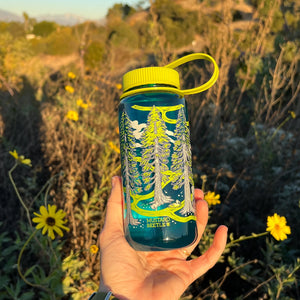 Mustard Beetle Redwoods, 16oz Wide Mouth Nalgene Water Bottle outdoors.