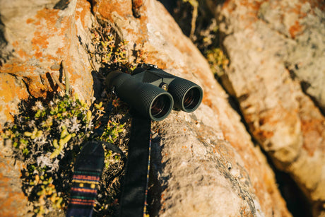 Nocs Provisions Pro Issue 8X Waterproof Binoculars in Alpine Green on a rocky outcrop.