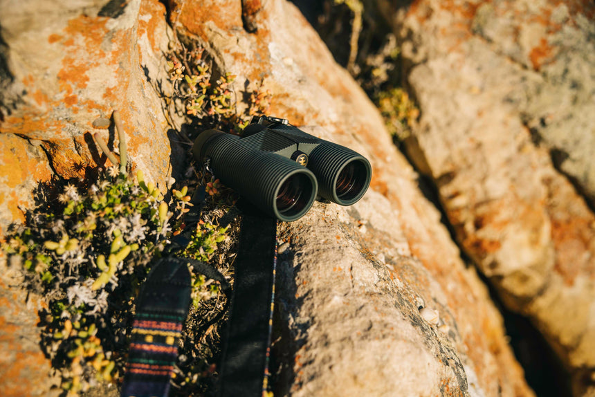 Nocs Provisions Pro Issue 8X Waterproof Binoculars in Alpine Green on a rocky outcrop.