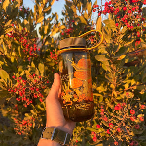 Mustard Beetle Toad & Mushrooms, 16oz Wide Mouth Nalgene Water Bottle outdoors.