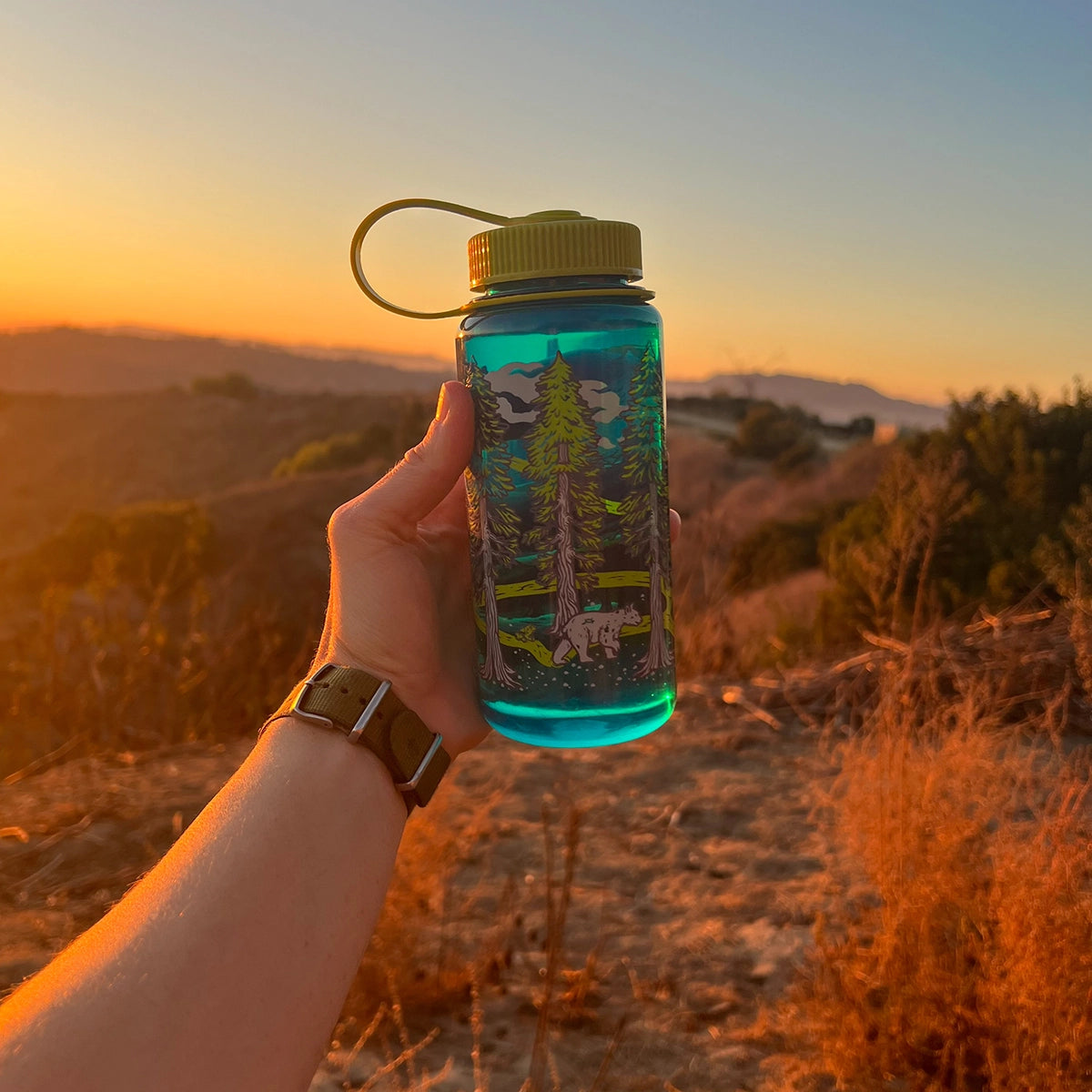 Mustard Beetle Redwoods, 16oz Wide Mouth Nalgene Water Bottle outdoors.