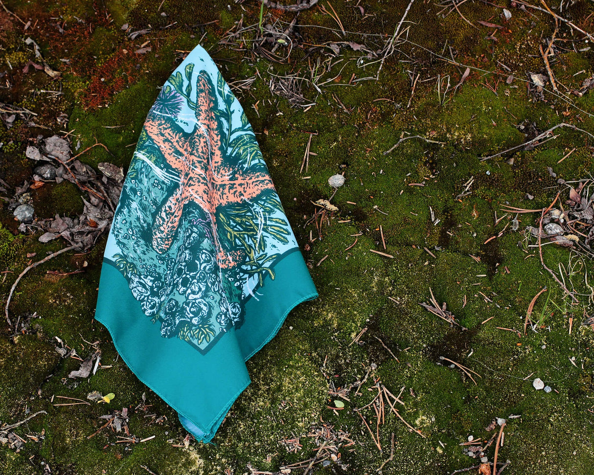 Alpinecho Tide Pool quick-dry bandana on a nature background.