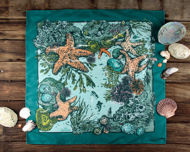 Alpinecho Tide Pool quick-dry bandana on a nature background.