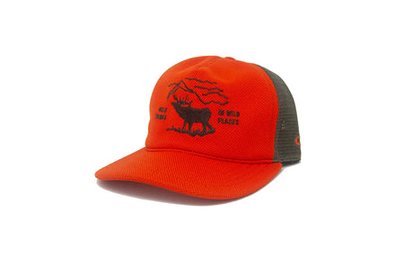 Orange Ampal Creative Wild Places Trucker Hat with a logo on a white background