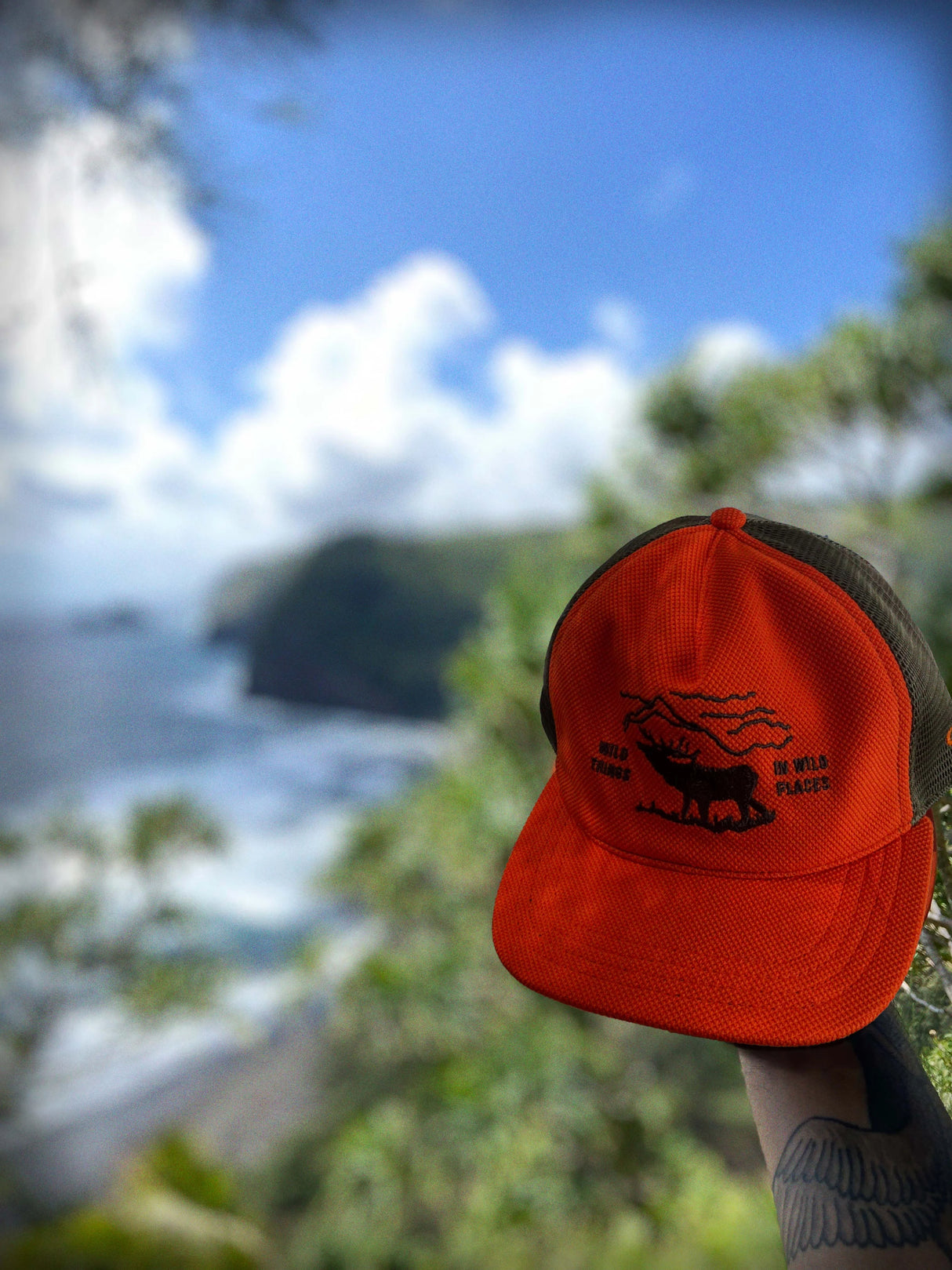 Orange Ampal Creative Wild Places Trucker Hat with a design held up against a blurred natural background