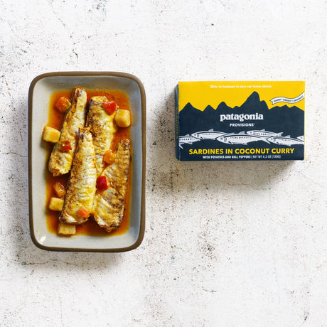 Patagonia Provisions Sardines in Coconut Curry Sauce tinned fish contents and packaging on a neutral background.